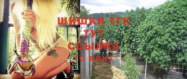 стаф Баксан