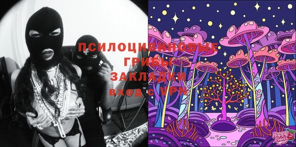 стаф Баксан