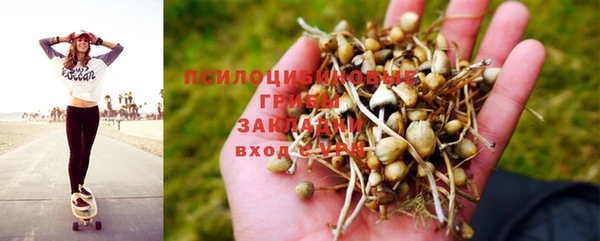 стаф Баксан